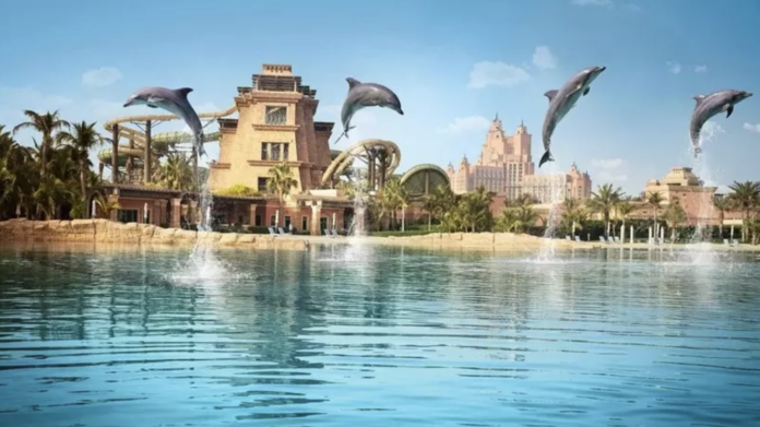 Снимок экрана 2025-04-09 в 10.25.15