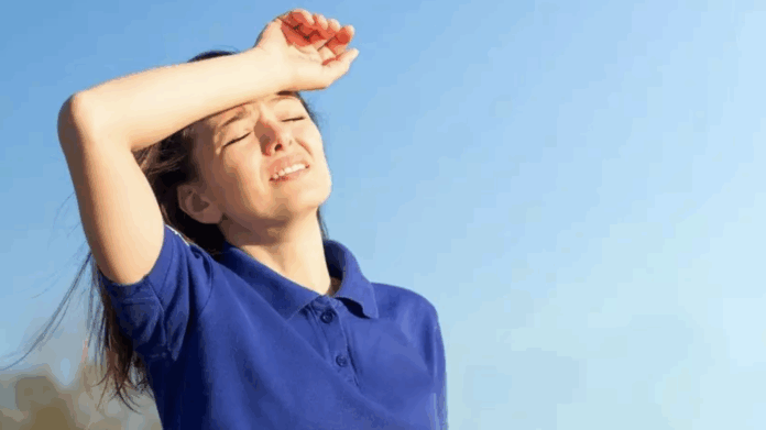 Снимок экрана 2025-08-11 в 21.51.02