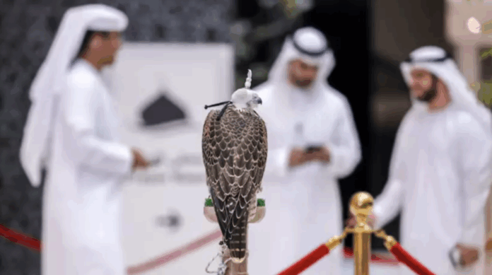 Снимок экрана 2025-08-19 в 23.36.42