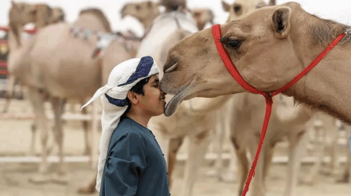 Снимок экрана 2025-10-28 в 18.26.11