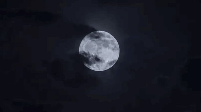 Снимок экрана 2025-10-29 в 13.01.54